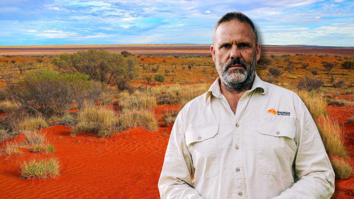 Traditional Owners take buffel grass fight to Canberra as federal decision looms