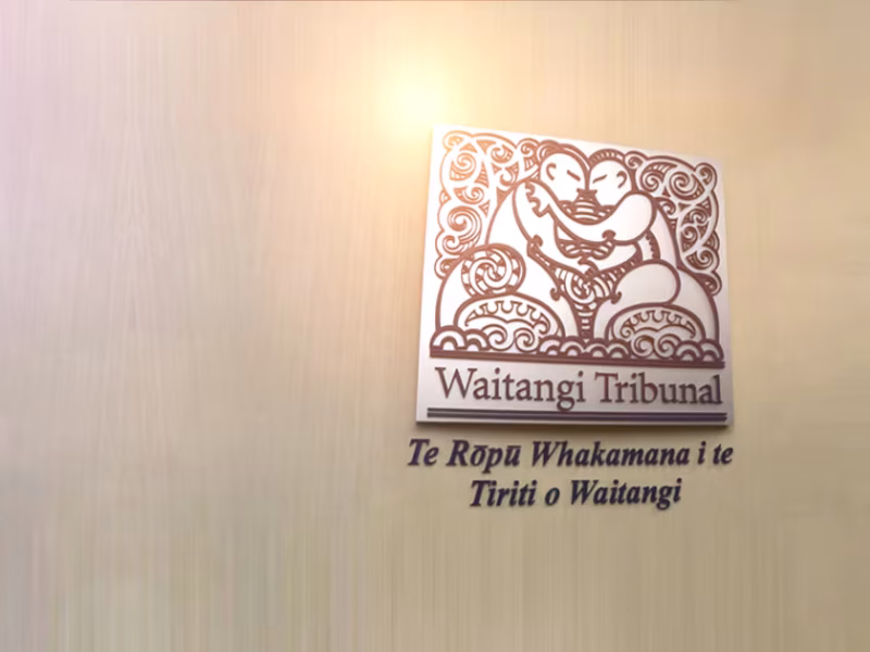 Waitangi Tribunal grants urgent inquiry into NZ Treaty clause review