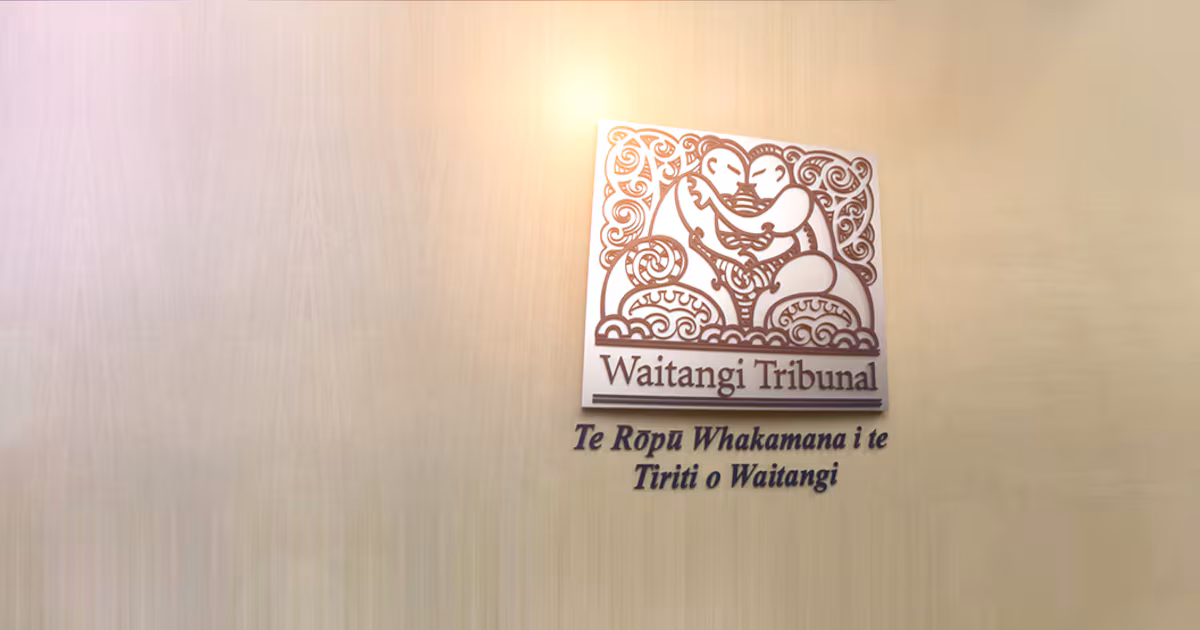 Waitangi Tribunal grants urgent inquiry into NZ Treaty clause review